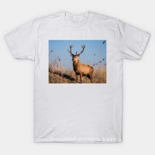 Red deer stag stares at the camera T-Shirt